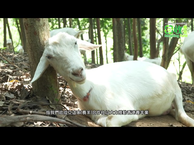 DOCUMENTARY VIDEO FOR Recycling Fund PACKAGE F - Video Production — V1.media video production portfolio