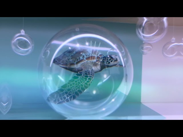 PROMOTION VIDEO FOR EVOLCARE PACKAGE E - Video Production — V1.media video production portfolio